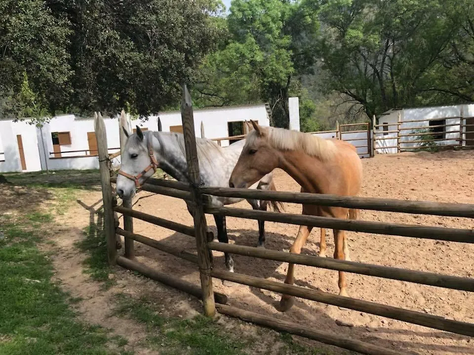 El Carrascal, 2 Llaves, Rural Apartman Arroyo Frio Spanyolország