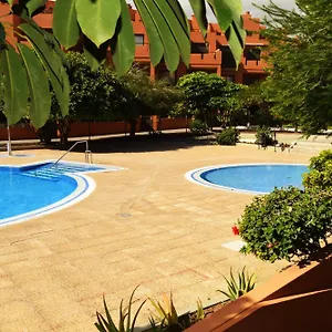 https://medano-sotavento-pool-great-terrace-and-beach.in-canary-islands.com