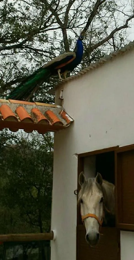 El Carrascal, 2 Llaves, Rural Apartment Arroyo Frio 0*,